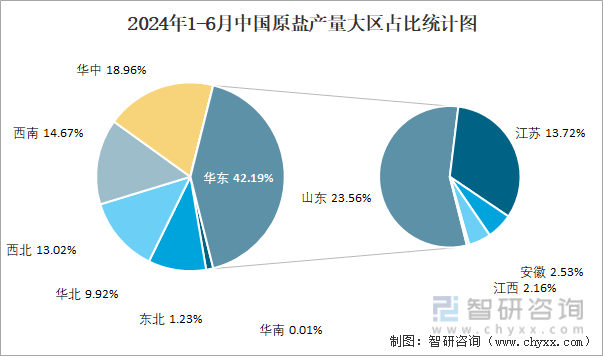 2024年1-6月中国原盐产量大区占比统计图