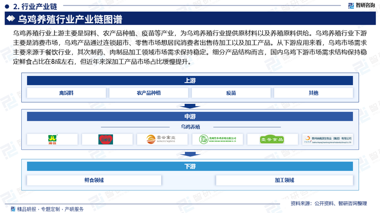 乌鸡养殖行业上游主要是饲料、农产品种植、疫苗等产业，为乌鸡养殖行业提供原材料以及养殖原料供给。乌鸡养殖行业下游主要是消费市场，乌鸡产品通过连锁超市、零售市场想居民消费者出售待加工以及加工产品。从下游应用来看，乌鸡市场需求主要来源于餐饮行业，其次制药、肉制品加工领域市场需求保持稳定。细分产品结构而言，国内乌鸡下游市场需求结构保持稳定鲜食占比在8成左右，但近年来深加工产品市场占比缓慢提升。