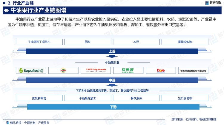 牛油果行业产业链上游为种子和苗木生产以及农业投入品供应，农业投入品主要包括肥料、农药、灌溉设备等。产业链中游为牛油果种植、初加工、储存与运输。产业链下游为牛油果批发和零售、深加工、餐饮服务与出口贸易等。