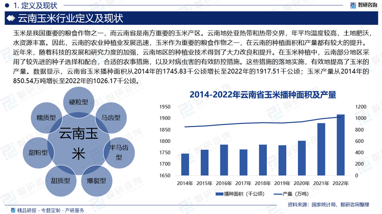 云南地处亚热带和热带交界，年平均温度较高，土地肥沃，水资源丰富。因此，云南的农业种植业发展迅速，玉米作为重要的粮食作物之一，在云南的种植面积和产量都有较大的提升。近年来，随着科技的发展和研究力度的加强，云南地区的种植业技术得到了大力改良和提升。在玉米种植中，云南部分地区采用了较先进的种子选择和配合，合适的农事措施，以及对病虫害的有效防控措施。这些措施的落地实施，有效地提高了玉米的产量。数据显示，云南省玉米播种面积从2014年的1745.83千公顷增长至2022年的1917.51千公顷；玉米产量从2014年的850.54万吨增长至2022年的1026.17千公顷。