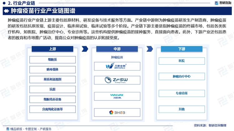 肿瘤疫苗行业产业链上游主要包括原材料、研发设备与技术服务等方面。产业链中游则为肿瘤疫苗研发生产制造商，肿瘤疫苗的研发包括抗原发现、疫苗设计、临床前试验、临床试验等多个阶段。产业链下游主要是指肿瘤疫苗的终端市场，包括各类医疗机构，如医院、肿瘤治疗中心、专业诊所等。这些机构提供肿瘤疫苗的接种服务，直接面向患者。此外，下游产业还包括患者的教育和市场推广活动，提高公众对肿瘤疫苗的认识和接受度。