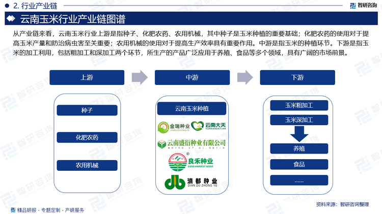 从产业链来看，云南玉米行业上游是指种子、化肥农药、农用机械，其中种子是玉米种植的重要基础；化肥农药的使用对于提高玉米产量和防治病虫害至关重要；农用机械的使用对于提高生产效率具有重要作用。中游是指玉米的种植环节。下游是指玉米的加工利用，包括粗加工和深加工两个环节，所生产的产品广泛应用于养殖、食品等多个领域，具有广阔的市场前景。