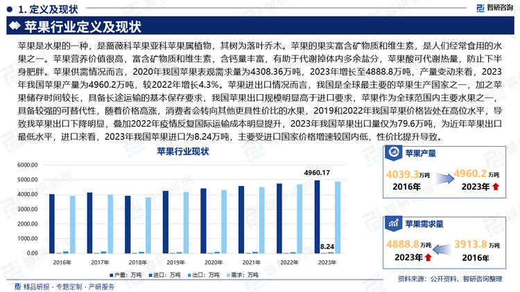 蘋果是水果的一種，是薔薇科蘋果亞科蘋果屬植物，其樹為落葉喬木。蘋果的果實富含礦物質(zhì)和維生素，是人們經(jīng)常食用的水果之一。蘋果營養(yǎng)價值很高，富含礦物質(zhì)和維生素，含鈣量豐富，有助于代謝掉體內(nèi)多余鹽分，蘋果酸可代謝熱量，防止下半身肥胖。蘋果供需情況而言，2020年我國蘋果表觀需求量為4308.36萬噸，2023年增長至4888.8萬噸，產(chǎn)量變動來看，2023年我國蘋果產(chǎn)量為4960.2萬噸，較2022年增長4.3%。蘋果進出口情況而言，我國是全球最主要的蘋果生產(chǎn)國家之一，加之蘋果儲存時間較長，具備長途運輸?shù)幕颈４嬉螅覈O果出口規(guī)模明顯高于進口要求，蘋果作為全球范圍內(nèi)主要水果之一，具備較強的可替代性，隨著價格高漲，消費者會轉(zhuǎn)向其他更具性價比的水果，2019和2022年我國蘋果價格皆處在高位水平，導致我蘋果出口下降明顯，疊加2022年疫情反復國際運輸成本明顯提升，2023年我國蘋果出口量僅為79.6萬噸，為近年蘋果出口最低水平，進口來看，2023年我國蘋果進口為8.24萬噸，主要受進口國家價格增速較國內(nèi)低，性價比提升導致。