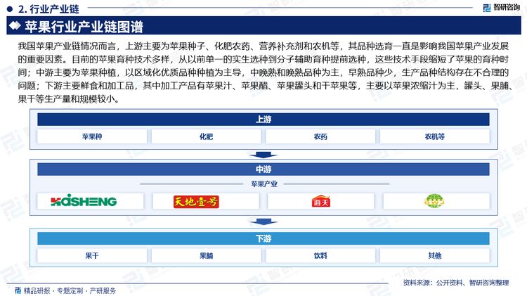 我國蘋果產(chǎn)業(yè)鏈情況而言，上游主要為蘋果種子、化肥農(nóng)藥、營養(yǎng)補充劑和農(nóng)機等，其品種選育一直是影響我國蘋果產(chǎn)業(yè)發(fā)展的重要因素。目前的蘋果育種技術(shù)多樣，從以前單一的實生選種到分子輔助育種提前選種，這些技術(shù)手段縮短了蘋果的育種時間；中游主要為蘋果種植，以區(qū)域化優(yōu)質(zhì)品種種植為主導，中晚熟和晚熟品種為主，早熟品種少，生產(chǎn)品種結(jié)構(gòu)存在不合理的問題；下游主要鮮食和加工品，其中加工產(chǎn)品有蘋果汁、蘋果醋、蘋果罐頭和干蘋果等，主要以蘋果濃縮汁為主，罐頭、果脯、果干等生產(chǎn)量和規(guī)模較小。