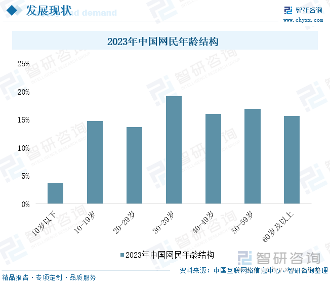 2023年中国网民年龄结构