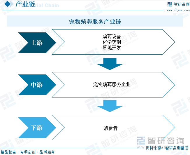 宠物殡葬服务产业链