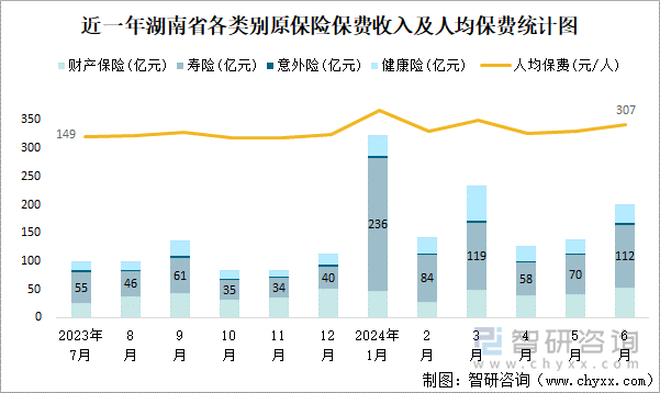 近一年湖南省各类别原保险保费收入及人均保费统计图