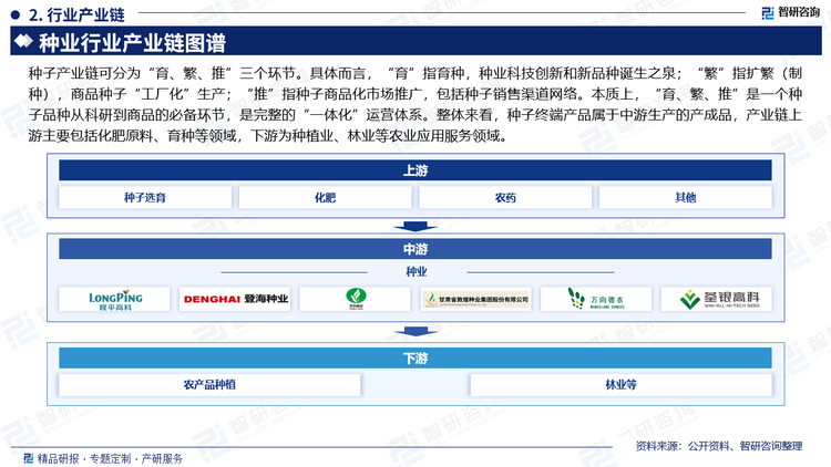 种子产业链可分为“育、繁、推”三个环节。具体而言，“育”指育种，种业科技创新和新品种诞生之泉；“繁”指扩繁（制种），商品种子“工厂化”生产；“推”指种子商品化市场推广，包括种子销售渠道网络。本质上，“育、繁、推”是一个种子品种从科研到商品的必备环节，是完整的“一体化”运营体系。整体来看，种子终端产品属于中游生产的产成品，产业链上游主要包括化肥原料、育种等领域，下游为种植业、林业等农业应用服务领域。