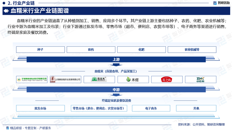 血糯米行业的产业链涵盖了从种植到加工、销售、应用多个环节。其产业链上游主要包括种子、农药、化肥、农业机械等；行业中游为血糯米加工及包装；行业下游通过批发市场、零售市场（超市、便利店、农贸市场等）、电子商务等渠道进行销售，终端是家庭及餐饮消费。