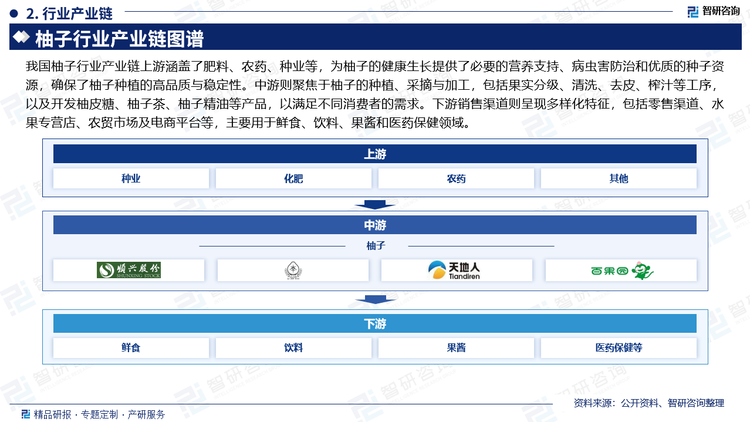 我国柚子行业产业链上游涵盖了肥料、农药、种业等，为柚子的健康生长提供了必要的营养支持、病虫害防治和优质的种子资源，确保了柚子种植的高品质与稳定性。中游则聚焦于柚子的种植、采摘与加工，包括果实分级、清洗、去皮、榨汁等工序，以及开发柚皮糖、柚子茶、柚子精油等产品，以满足不同消费者的需求。下游销售渠道则呈现多样化特征，包括零售渠道、水果专营店、农贸市场及电商平台等，主要用于鲜食、饮料、果酱和医药保健领域。