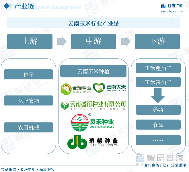 云南玉米行业产业链