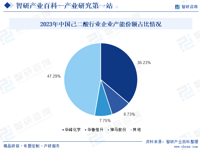 2023年中国己二酸行业企业产能份额占比情况