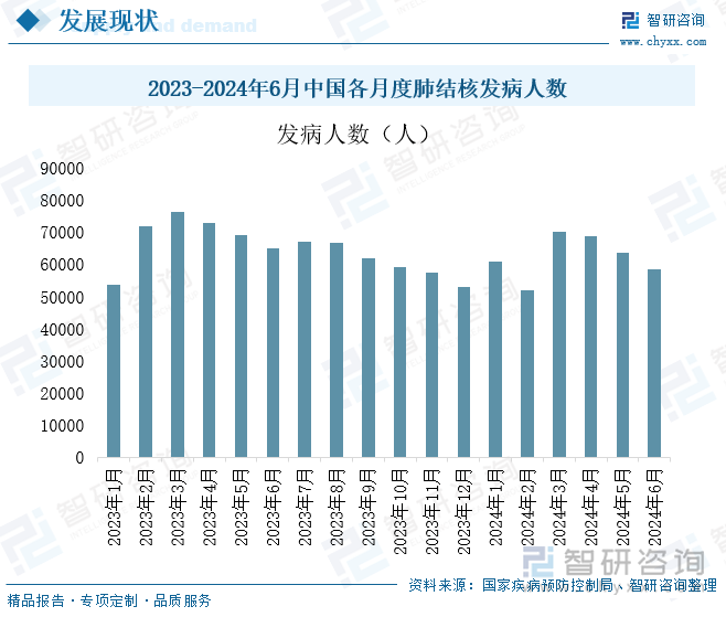 2023-2024年6月中国各月度肺结核发病人数