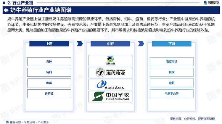 奶牛养殖产业链上游主要是奶牛养殖所需资源的供应环节，包括育种、饲料、疫苗、兽药等行业。其中，饲料是行业最大的成本来源，占比近70%，主要包括精饲料和粗饲料。精饲料成本占比为44%左右，粗饲料成本占比为22%左右。玉米和大豆是奶牛养殖中重要的饲料之一，其产量和价格对奶牛养殖行业有重要影响；产业链中游是奶牛养殖的核心环节，主要包括奶牛的牧场建设、养殖技术等。随着社会的进步和人们物质需求的提升，奶牛养殖单元由过去的个体经营逐渐向规模养殖过渡，奶牛品种属性更加优良，养殖方式更加科学规范，养殖规模不断扩张，同时带动了养殖空间布局的优化与资源利用率的提升；产业链下游是乳制品加工环节，主要产成品包括液态奶及干乳制品两大类。乳制品的加工和销售是奶牛养殖产业链的重要环节，其市场需求和价格波动直接影响到奶牛养殖行业的经济效益。