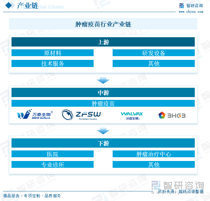 肿瘤疫苗行业产业链