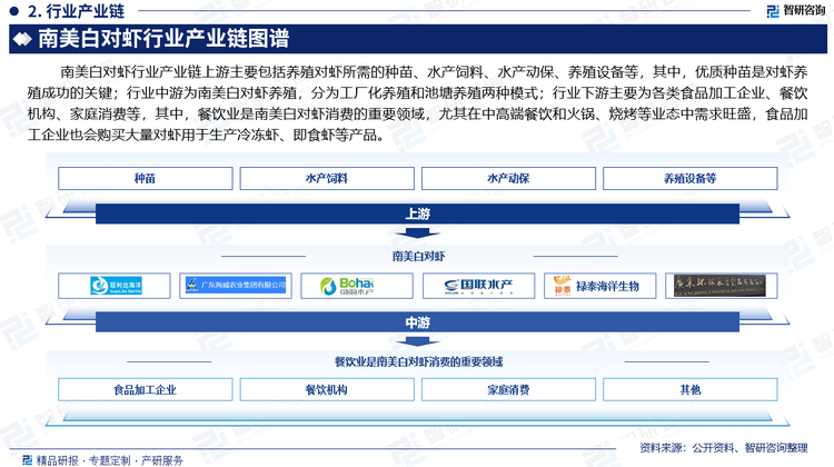 南美白对虾行业产业链上游主要包括养殖对虾所需的种苗、水产饲料、水产动保、养殖设备等，其中，优质种苗是对虾养殖成功的关键；行业中游为南美白对虾养殖，分为工厂化养殖和池塘养殖两种模式；行业下游主要为各类食品加工企业、餐饮机构、家庭消费等，其中，餐饮业是南美白对虾消费的重要领域，尤其在中高端餐饮和火锅、烧烤等业态中需求旺盛，食品加工企业也会购买大量对虾用于生产冷冻虾、即食虾等产品。