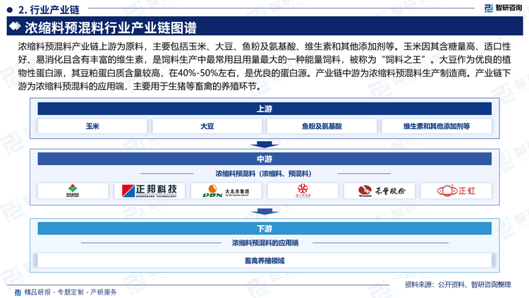 浓缩料预混料产业链上游为原料，主要包括玉米、大豆、鱼粉及氨基酸、维生素和其他添加剂等。玉米因其含糖量高、适口性好、易消化且含有丰富的维生素，是饲料生产中最常用且用量最大的一种能量饲料，被称为“饲料之王”。大豆作为优良的植物性蛋白源，其豆粕蛋白质含量较高，在40%-50%左右，是优良的蛋白源。产业链中游为浓缩料预混料生产制造商。产业链下游为浓缩料预混料的应用端，主要用于生猪等畜禽的养殖环节。