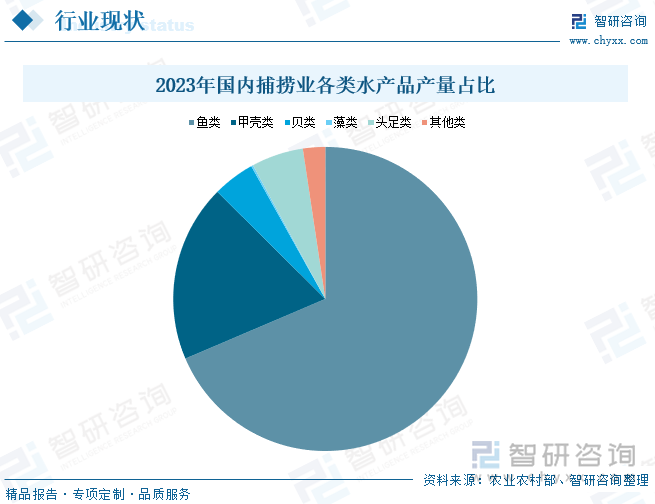 2023年国内捕捞业各类水产品产量占比