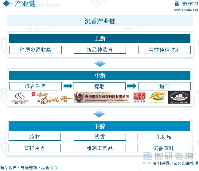 沉香产业链