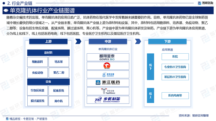 随着杂交瘤技术的出现，单克隆抗体的应用日趋广泛，抗体药物在现代医学中发挥着越来越重要的作用。目前，单克隆抗体药物已是全球制药领域中增长最快的细分领域之一。从产业链来看，单克隆抗体产业链上游为原材料和设备，其中，原材料包括细胞原料、培养基、免疫动物、聚乙二醇等；设备包括生物反应器、配液系统、膜过滤系统、离心机等。产业链中游为单克隆抗体研发及制药。产业链下游为单克隆抗体应用渠道，分为线上和线下，线上包括医药电商；线下包括医院、专业医疗卫生机构以及基层医疗卫生机构。