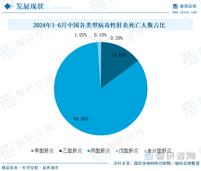 2024年1-6月中国各类型病毒性肝炎死亡人数占比