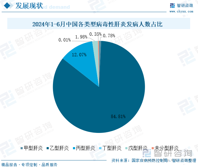 2024年1-6月中国各类型病毒性肝炎发病人数占比