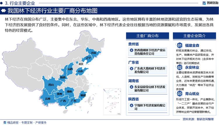 林下经济在我国分布广泛，主要集中在东北、华东、中南和西南地区。这些地区拥有丰富的林地资源和适宜的生态环境，为林下经济的发展提供了良好的条件。同时，在这些区域中，林下经济代表企业往往根据当地的资源禀赋和市场需求，发展出各具特色的经营模式。