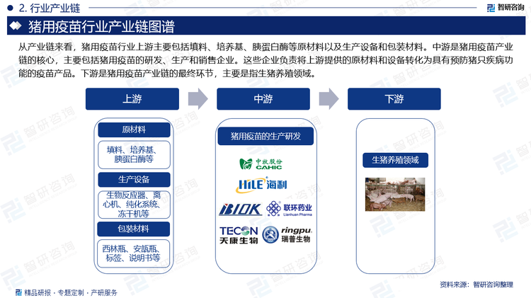 从产业链来看，猪用疫苗行业上游主要包括填料、培养基、胰蛋白酶等原材料以及生产设备和包装材料。中游是猪用疫苗产业链的核心，主要包括猪用疫苗的研发、生产和销售企业。这些企业负责将上游提供的原材料和设备转化为具有预防猪只疾病功能的疫苗产品。下游是猪用疫苗产业链的最终环节，主要是指生猪养殖领域。