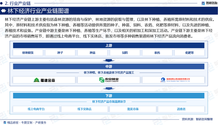 产业链中游主要是林下种植、养殖等生产环节，以及相关的初加工和深加工活动。其中，林下种植指利用林地空间和林荫优势，种植中药材、食用菌、花卉、果树等经济作物；林下养殖指在林下放养或圈养家禽、家畜等动物，利用林地的自然环境和食物资源，降低养殖成本，提高养殖效益；林下经济产品加工业指对林下种植、养殖的产品进行初加工和深加工，提高产品的附加值和市场竞争力，例如中药材干燥、食用菌烘干等。产业链下游主要是林下经济产品的市场销售环节，即通过线上电商平台、线下实体店、批发市场等多种销售渠道将林下经济产品推向市场，最终流向消费者，为整个林下经济产业链创造经济价值。