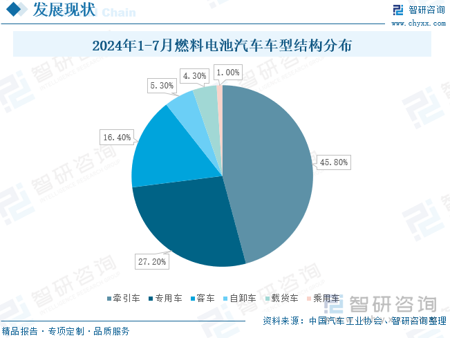 2024年1-7月燃料电池汽车车型结构分布