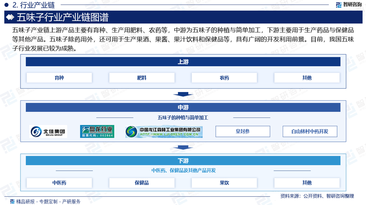 五味子產(chǎn)業(yè)鏈上游產(chǎn)品主要有育種、生產(chǎn)用肥料、農(nóng)藥等，中游為五味子的種植與簡(jiǎn)單加工，下游主要用于生產(chǎn)藥品與保健品等其他產(chǎn)品。五味子除藥用外，還可用于生產(chǎn)果酒、果醬、果汁飲料和保健品等，具有廣闊的開(kāi)發(fā)利用前景。目前，我國(guó)五味子行業(yè)發(fā)展已較為成熟。