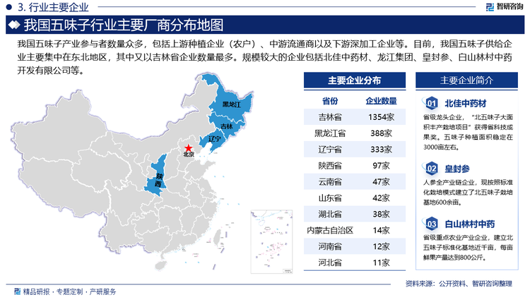 我國(guó)五味子產(chǎn)業(yè)參與者數(shù)量眾多，包括上游種植企業(yè)（農(nóng)戶）、中游流通商以及下游深加工企業(yè)等。目前，我國(guó)五味子供給企業(yè)主要集中在東北地區(qū)，其中又以吉林省企業(yè)數(shù)量最多。規(guī)模較大的企業(yè)包括北佳中藥材、龍江集團(tuán)、皇封參、白山林村中藥開(kāi)發(fā)有限公司等。