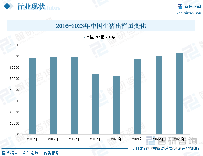 2016-2023年中国生猪出栏量变化