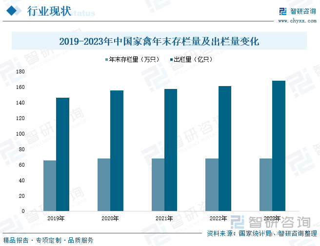 2019-2023年中国家禽年末存栏量及出栏量变化