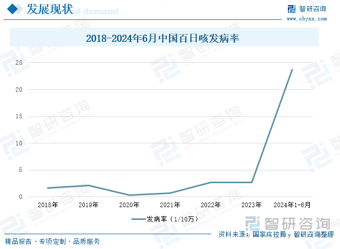 百日咳疫苗的接种情况是影响发病率的重要因素。疫苗接种率的提高可以降低百日咳的发病率和死亡率。然而，如果疫苗接种率下降或存在接种漏洞，就可能导致百日咳的发病率上升。2022年与2023年，我国百日咳发病率为2.71/10万，到2024年1-6月，我国百日咳发病率达23.67/10万。百日咳的传播特点近年来逐渐转变为家庭聚集发病的传播模式。这种模式下，家庭成员之间的密切接触使得百日咳更容易在家庭中传播，尤其是婴幼儿等易感人群更容易受到感染，且病情往往更为严重，从而增加了死亡的风险。2018-2024年6月中国百日咳发病率