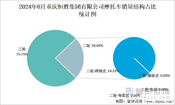 2024年6月重庆恒胜集团有限公司摩托车销量结构占比统计图