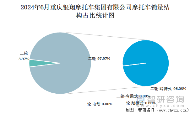 2024年6月重庆银翔摩托车集团有限公司摩托车销量结构占比统计图