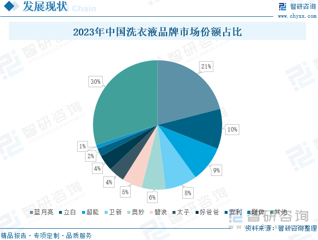 2023年中国洗衣液品牌市场份额占比