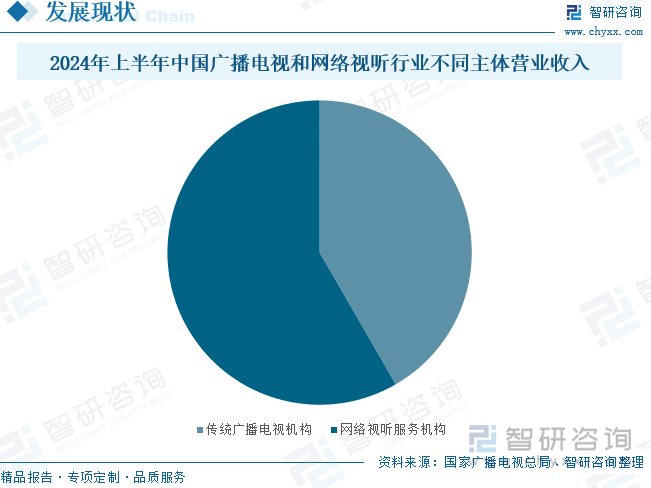 2024年上半年中国广播电视和网络视听行业不同主体营业收入