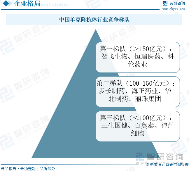 中国单克隆抗体行业竞争梯队