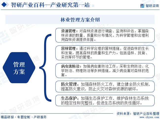 林业管理方案介绍