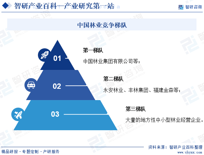 中国林业竞争梯队