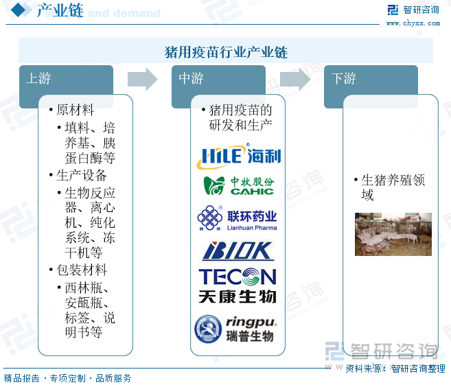 猪用疫苗行业产业链