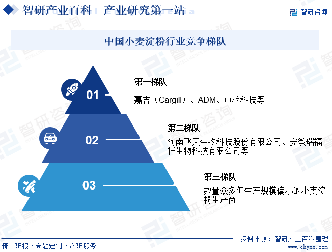 中国小麦淀粉行业竞争梯队