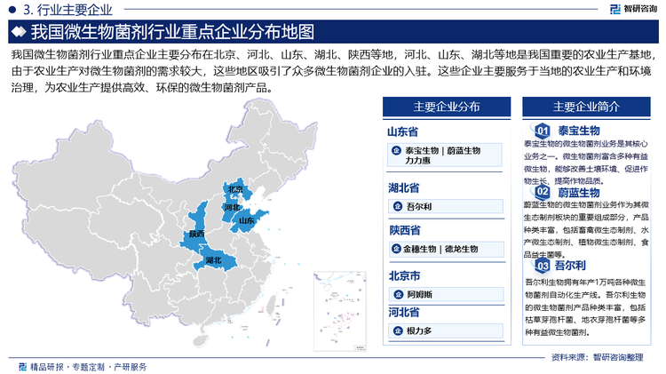 我国微生物菌剂行业重点企业主要分布在北京、河北、山东、湖北、陕西等地，河北、山东、湖北等地是我国重要的农业生产基地，由于农业生产对微生物菌剂的需求较大，这些地区吸引了众多微生物菌剂企业的入驻。这些企业主要服务于当地的农业生产和环境治理，为农业生产提供高效、环保的微生物菌剂产品。