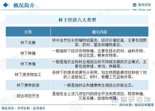 林下经济六大类型