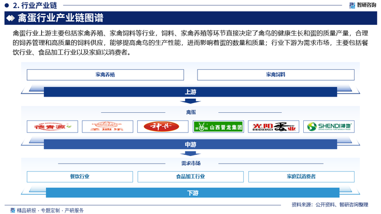 禽蛋行业上游主要包括家禽养殖、家禽饲料等行业，饲料、家禽养殖等环节直接决定了禽鸟的健康生长和蛋的质量产量，合理的饲养管理和高质量的饲料供应，能够提高禽鸟的生产性能，进而影响着蛋的数量和质量；行业下游为需求市场，主要包括餐饮行业、食品加工行业以及家庭以消费者。