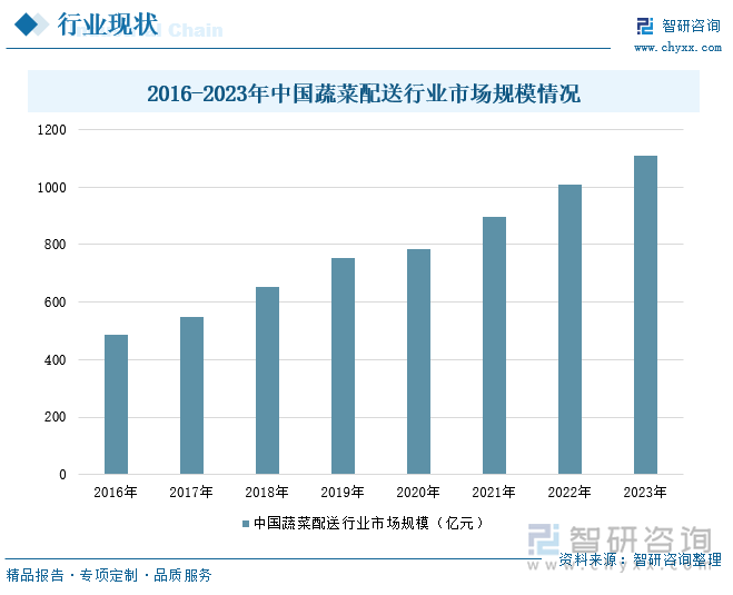 2016-2023年中国蔬菜配送行业市场规模情况 