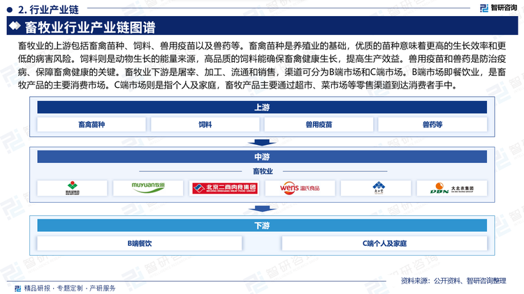 畜牧业的上游包括畜禽苗种、饲料、兽用疫苗以及兽药等。畜禽苗种是养殖业的基础，优质的苗种意味着更高的生长效率和更低的病害风险。饲料则是动物生长的能量来源，高品质的饲料能确保畜禽健康生长，提高生产效益。兽用疫苗和兽药是防治疫病、保障畜禽健康的关键。畜牧业下游是屠宰、加工、流通和销售，渠道可分为B端市场和C端市场。B端市场即餐饮业，是畜牧产品的主要消费市场。C端市场则是指个人及家庭，畜牧产品主要通过超市、菜市场等零售渠道到达消费者手中。