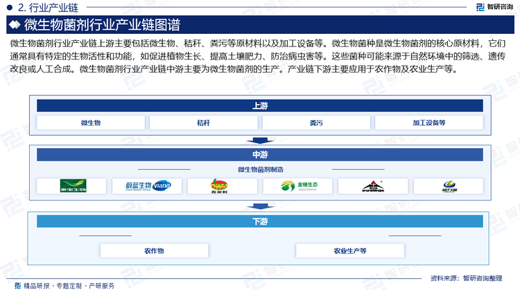 微生物菌剂行业产业链上游主要包括微生物、秸秆、粪污等原材料以及加工设备等。微生物菌种是微生物菌剂的核心原材料，它们通常具有特定的生物活性和功能，如促进植物生长、提高土壤肥力、防治病虫害等。这些菌种可能来源于自然环境中的筛选、遗传改良或人工合成。微生物菌剂行业产业链中游主要为微生物菌剂的生产。产业链下游主要应用于农作物及农业生产等。